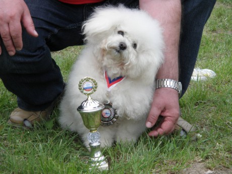 31390_119317961423739_100000366073356_183079_3226275_n