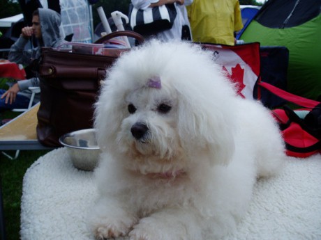 46636_149014031787465_100000366073356_309595_1182084_n